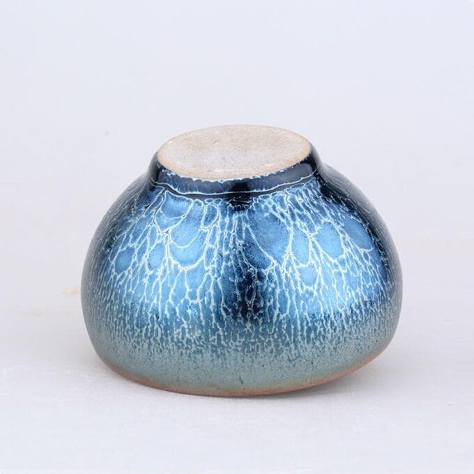 Jellyfish - Image 3