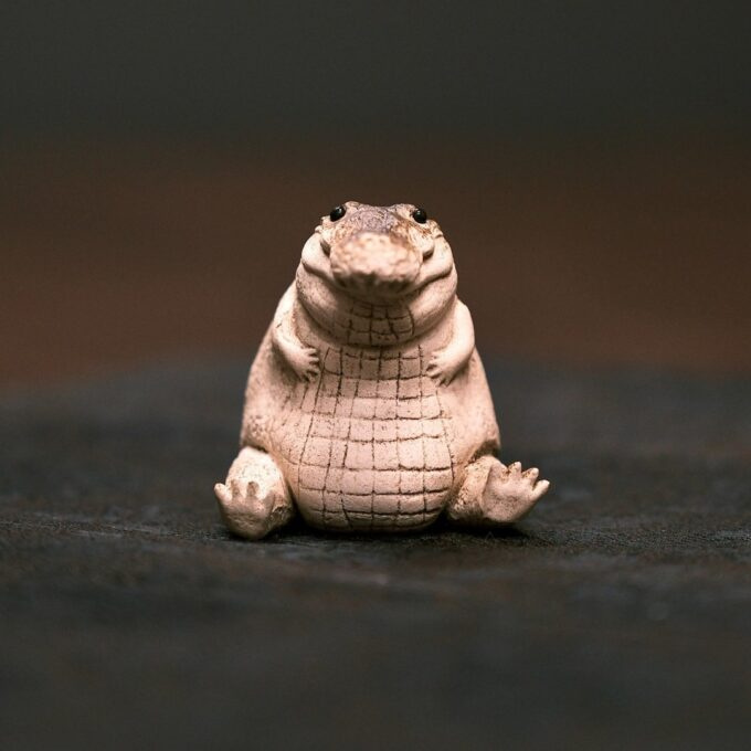 Little Alligator - Image 9