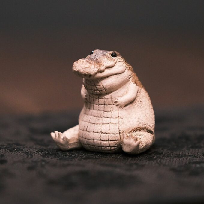 Little Alligator - Image 3