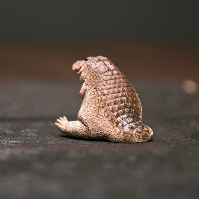 Little Alligator - Image 7
