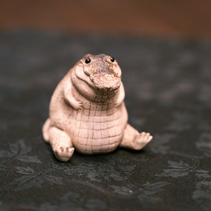Little Alligator - Image 2