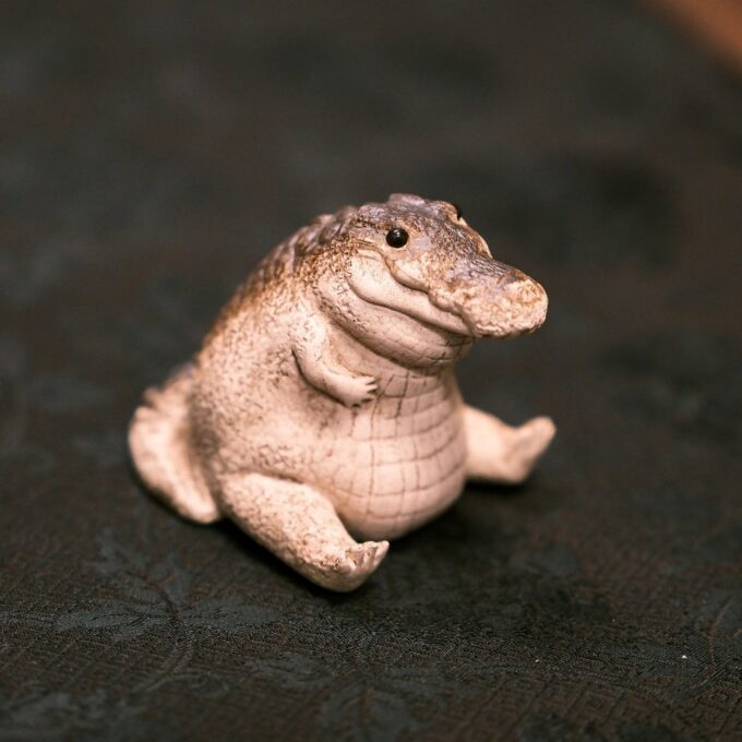 Little Alligator - Image 6